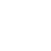 Salience-Flower-Logo-Updated@3x Salience-Flower-Logo-Updated@3x